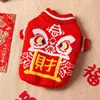 Lion Dance Sweater