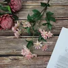 ชมพูพีช