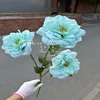 Elegant Roses