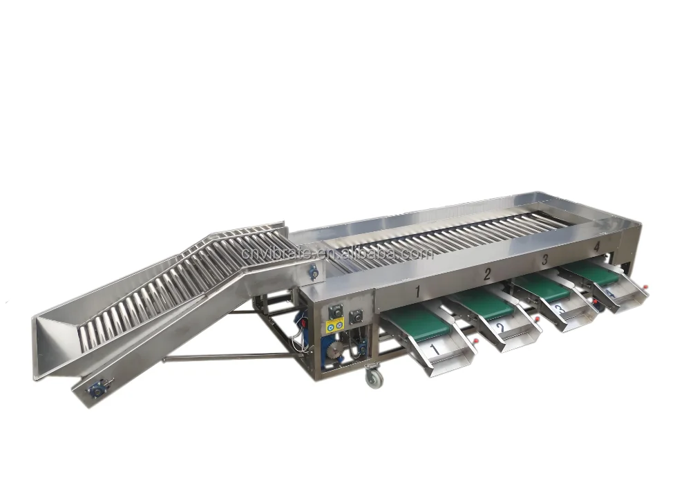 VBJX Date Cherry Cucumber apple Ginger Carrot Chilli Vegetable Fruit Defect for Sorting Grading Sorter Grader Machine