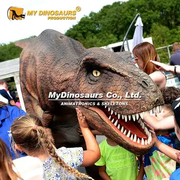 My Dino D09 Buy Amusement Park Lifelike Dinosaur Costumes in China