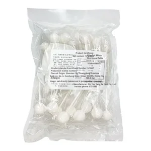 Bulk 30-Piece Vitamin C Candy Tangerine Peel Green Plum Lime Flavored Hard Sugar-Free Lollipops Coated Box Packaging Mint Snacks