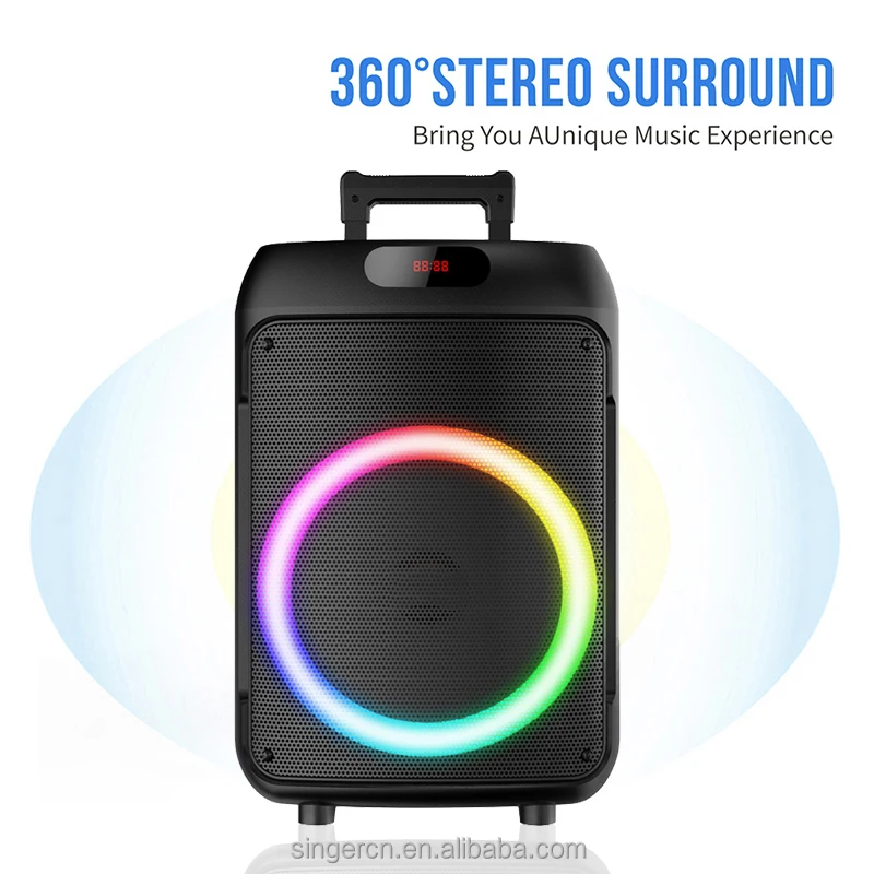 Party Speaker Price 12 Inch Trolley Speaker TTD-1209 12 Inch