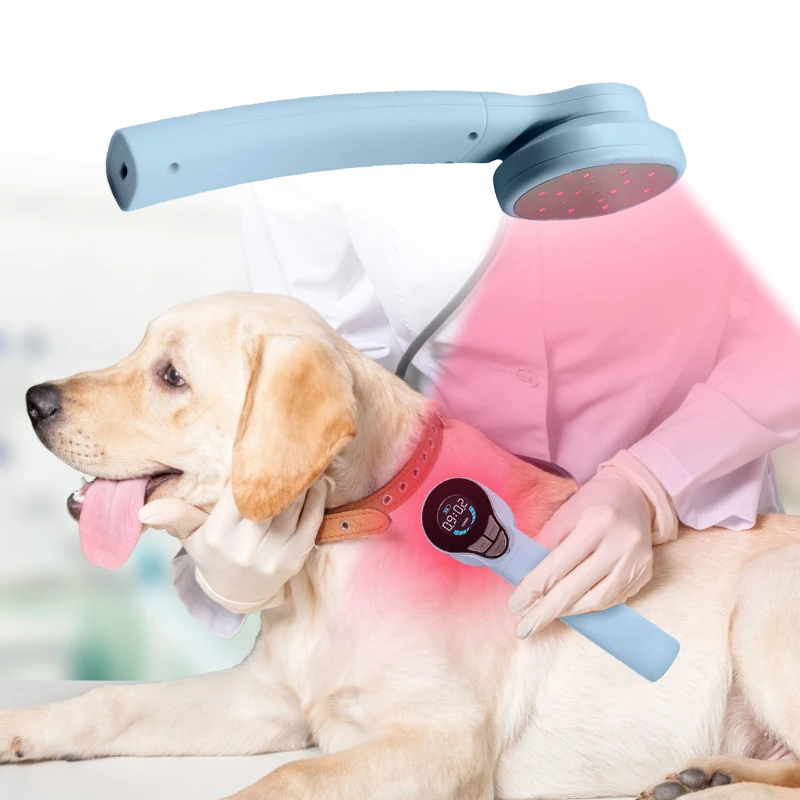 Home Use Veterinary Laser Therapy Device For Pain Relief Acupuncture Animal Wound Healing Far Infrared Medical Equipment Buy Veterinary Laser animal Wound Healing veterinary Physiotherapy