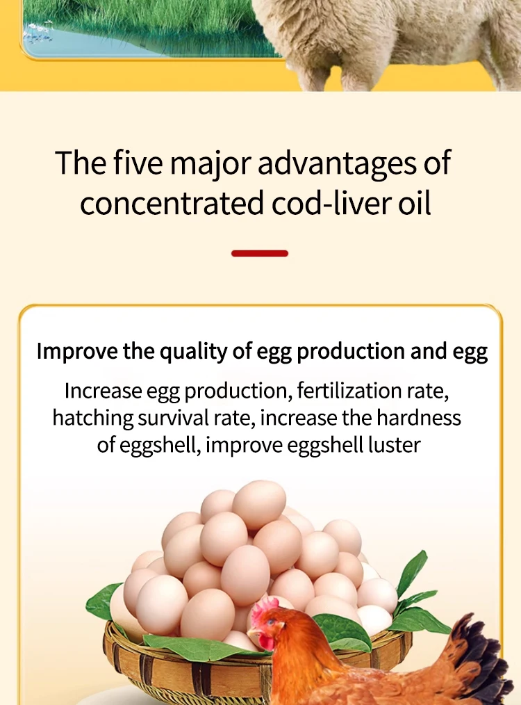 Animal Vitamin And Mineral Supplements For Animals Multi Vitamin Powder ...