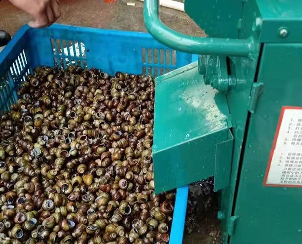 Snail Tail Removing Cutting Machine Snail Shell Washing Processing Machine