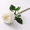 สีขาว