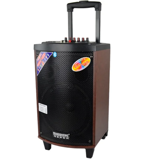 TEMEISHENG 10 Inch Portable USB BT Rechargeable Portable Speaker