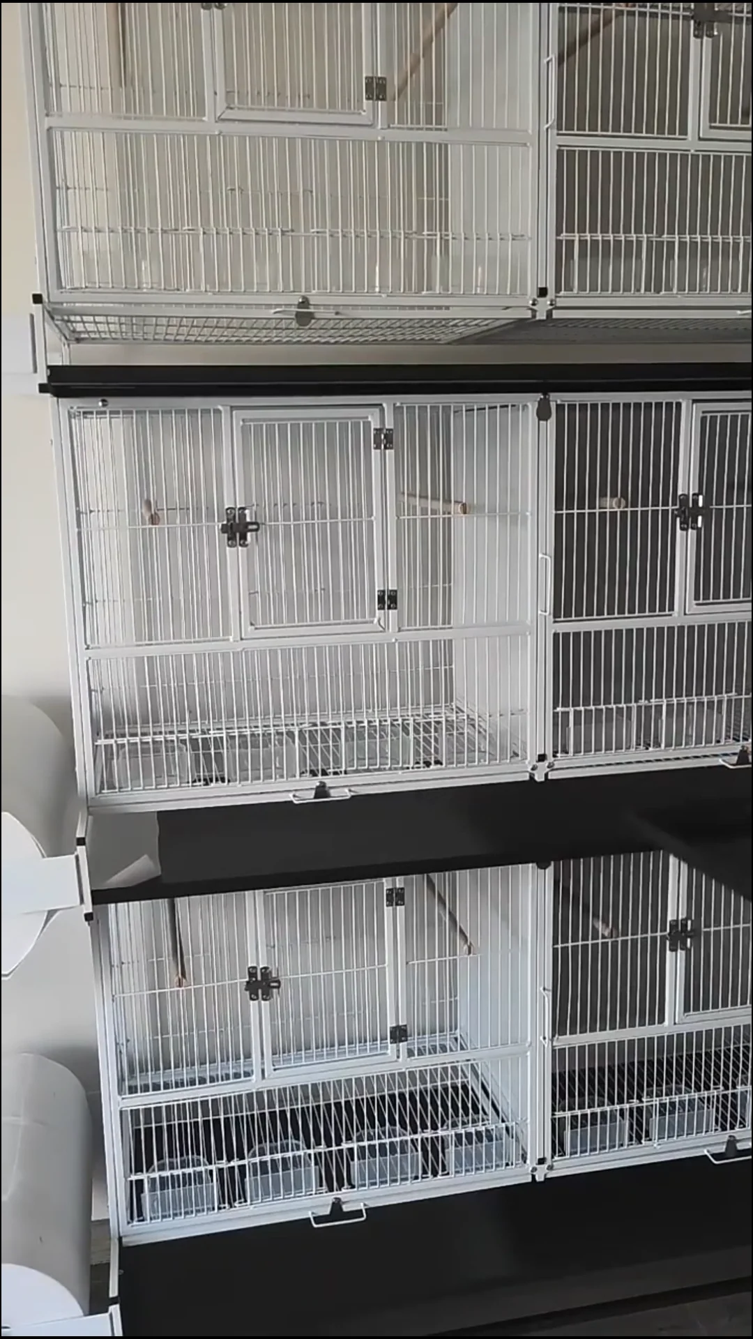 53 Inch Wrought Iron Birdcages Flight King Bird Cage For Parakeets