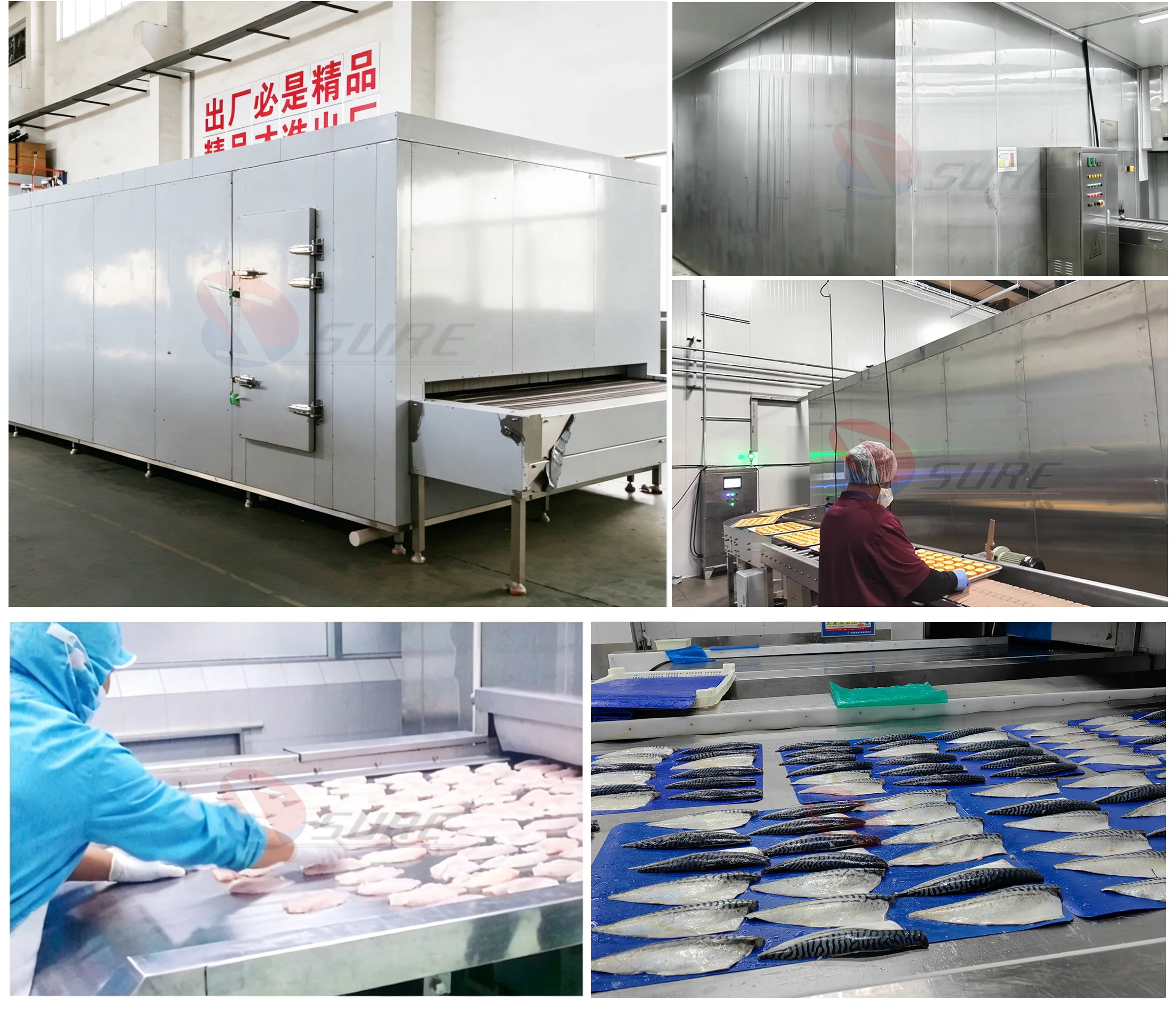 Equipment Quick Tunnel Freezer, IQF, 380v - detail 4