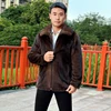 Brown (Turn-down collar)