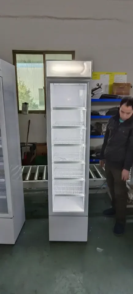 NUELEAD Commercial Restaurant Compressor Display Cooler 150L Stainless Steel Single Glass Door Mechanical Refrigerator - Image 5