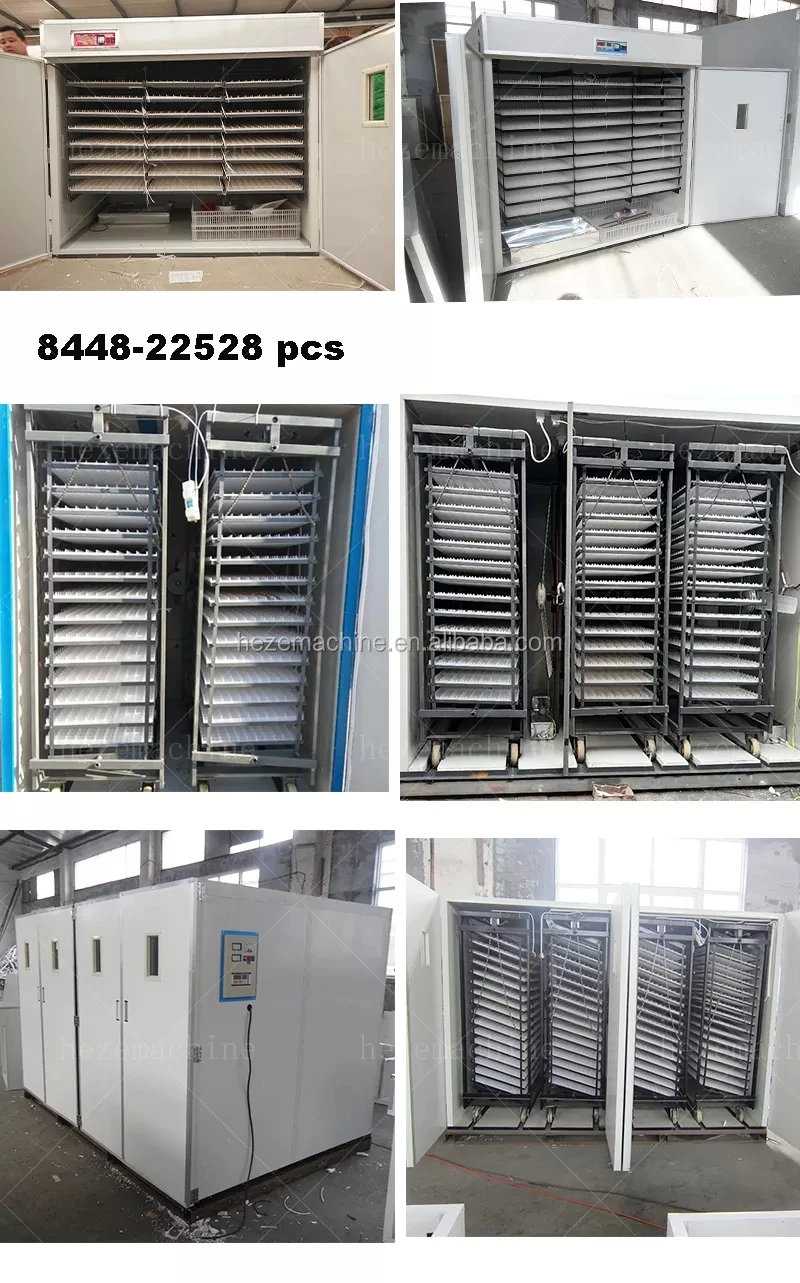 Egg Incubator2.jpg
