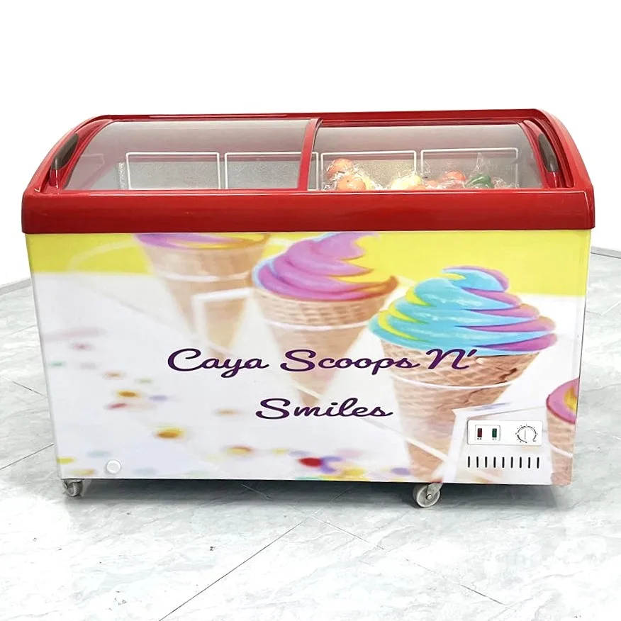 Mini Freezer for Ice Cream Tricycle Freezer Ice Cream Showcase Freezer