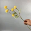 Amarillo claro