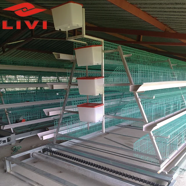 
20 Years supply poultry farming egg laying cage chicken for a type chicken cage layers in South Africa 