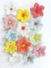 สีชมพู#10