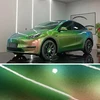 Chameleon Urban Jungle(glossy)