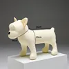 White FD French Bulldog