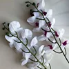 Bianco145 cm