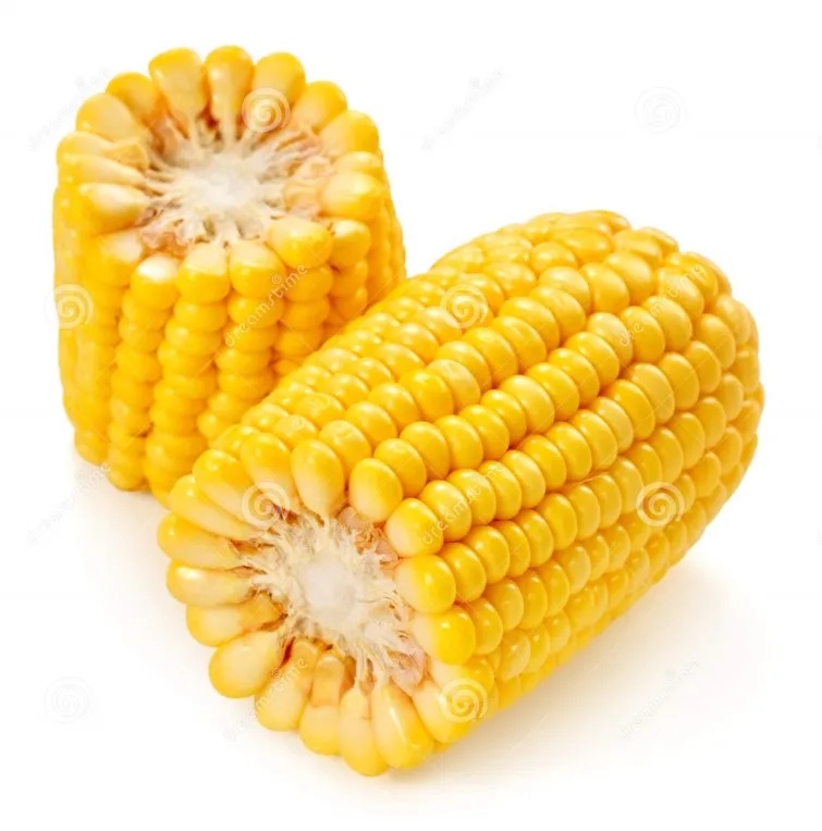 Whole frozen corn cob sweet yellow corn iqf