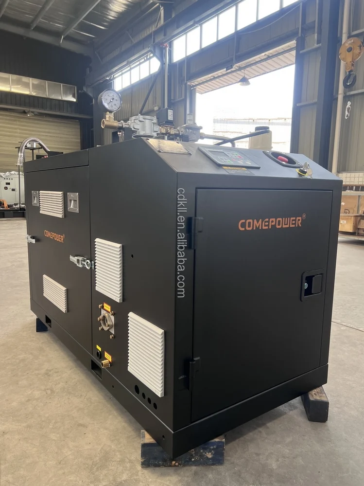 Silent Type  Sustainable Power Plant 20kw  3 Phase  Micro CHP  Biogas LPG  Natural Gas Generator for Sale
