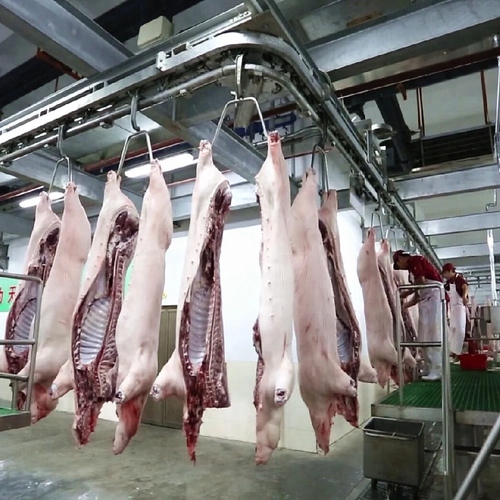 Modern pig slaughterhouse complete set of pig slaughtering production line equipment