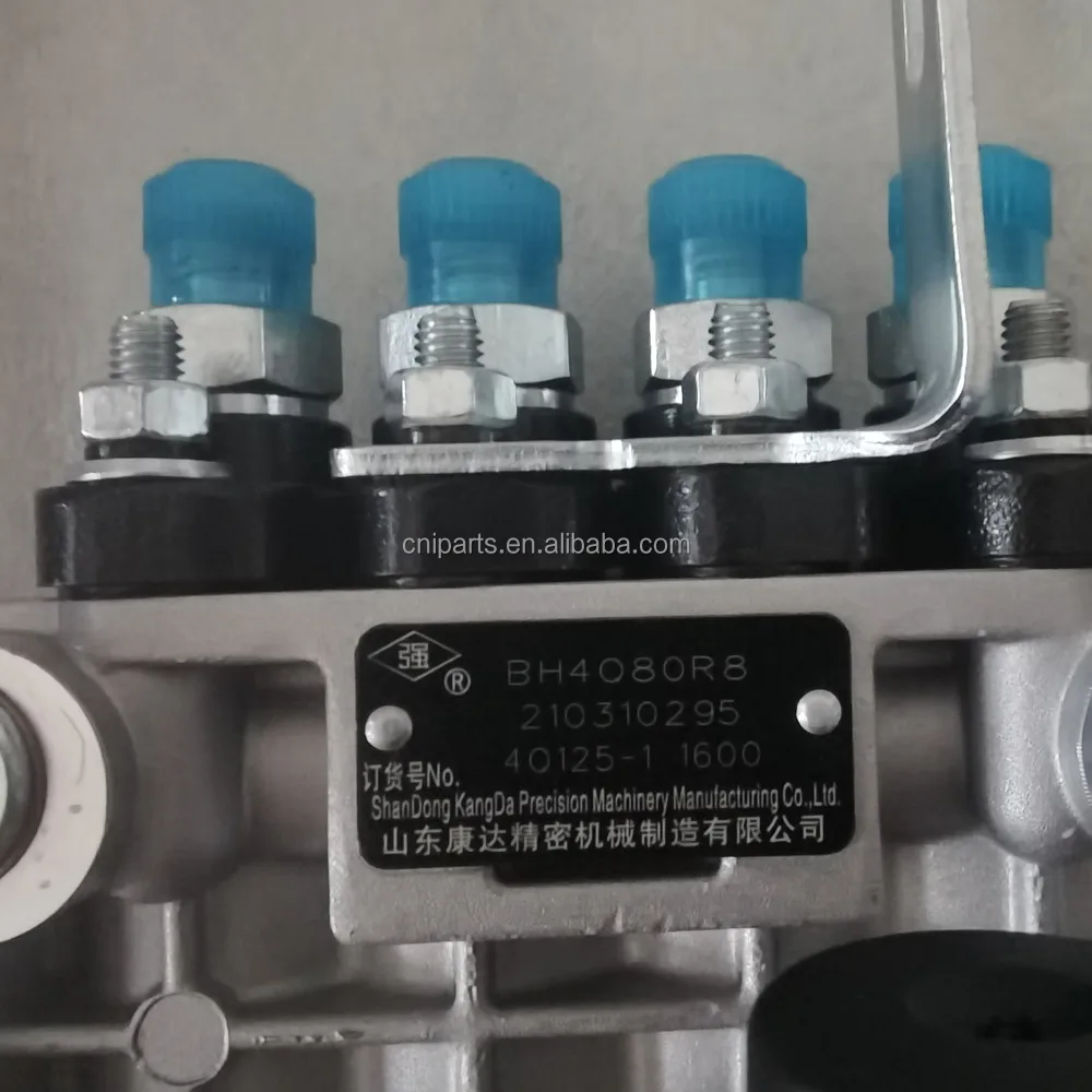 Original Kangda Fuel Injection Pump 4q1251 Diesel Injector Pump