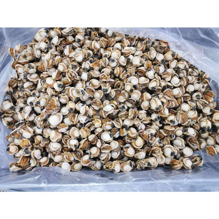 Frozen Bay Scallops Iqf Bay Scallop Sea Scallop Meat Buy Sea Scallop