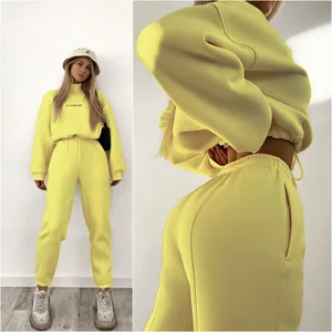 Hot Sale Womens Clothing Spring Two Piece Sets Solid Color Casual Pullover Hoodies Sports Pants Suit