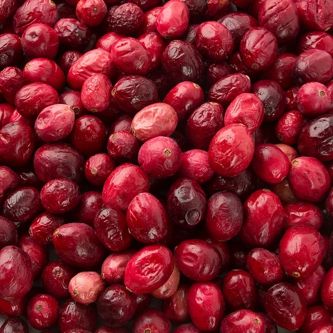 High Quality Wholesale Price Bulk Dehydrated FD Freeze Dried Cranberry manufacture