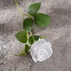 สีขาว