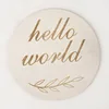 Hello world