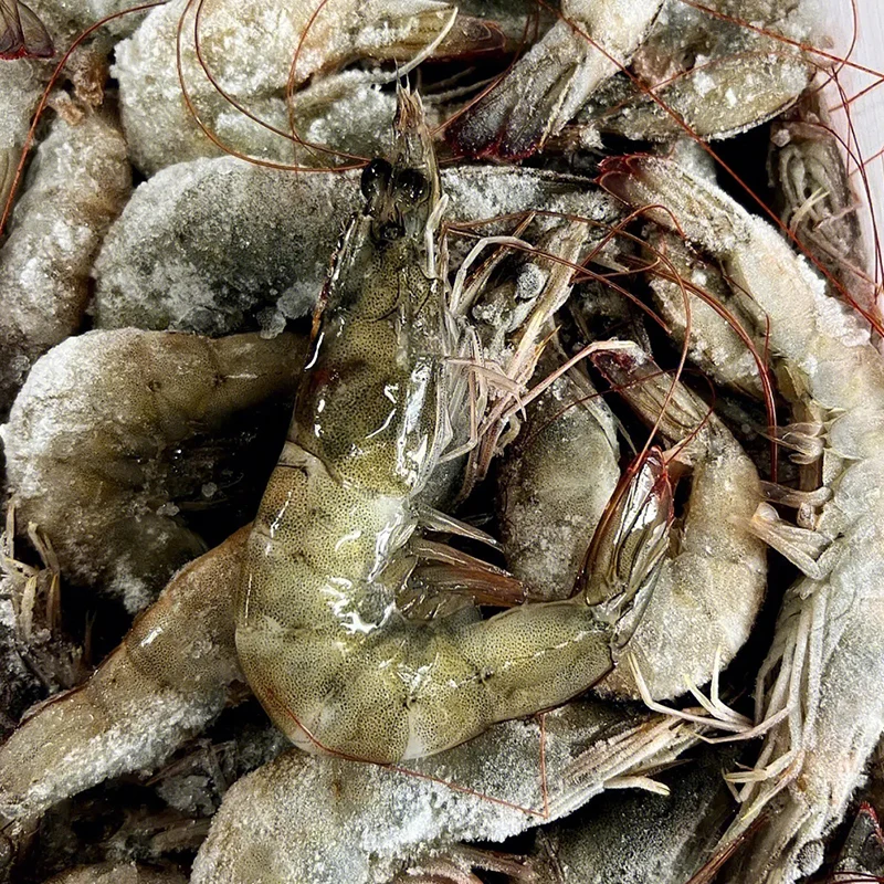 Wholesale Frozen Shrimp Vannamei Shrimp Price White Shrimp Buy Organic Shrimp,Freshwater