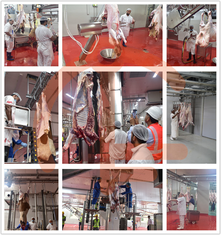 Cow slaughterhouse with meat processing and boning machines