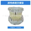 Transparent pathological tooth model