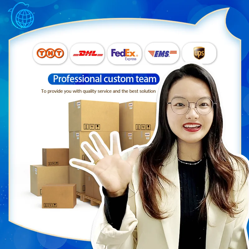 Shenzhen Express Shipping Agent From China USA Canada UK France Germany Australia DHL FedEx Cash Delivery Dropshipping Supported