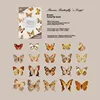 El Cuento de la Mariposa Marrón