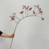 147cm - Grandes ramas rojas