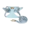 Conjunto azul