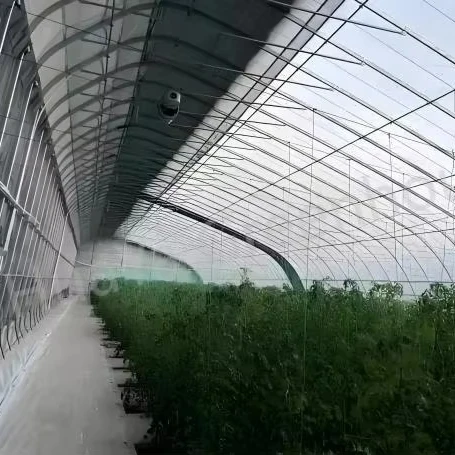 Υλικό Q235 γαλβανισμένο με θερμή καταβύθιση, θερμοκήπιο ηλιακής ενέργειας (θερμό σπίτι), μεμβράνη PO και PE, συναρμολογούμενη με συγκόλληση επιτόπου, μαύρο-άσπρο χρώμα