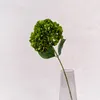 Une branche vert foncé