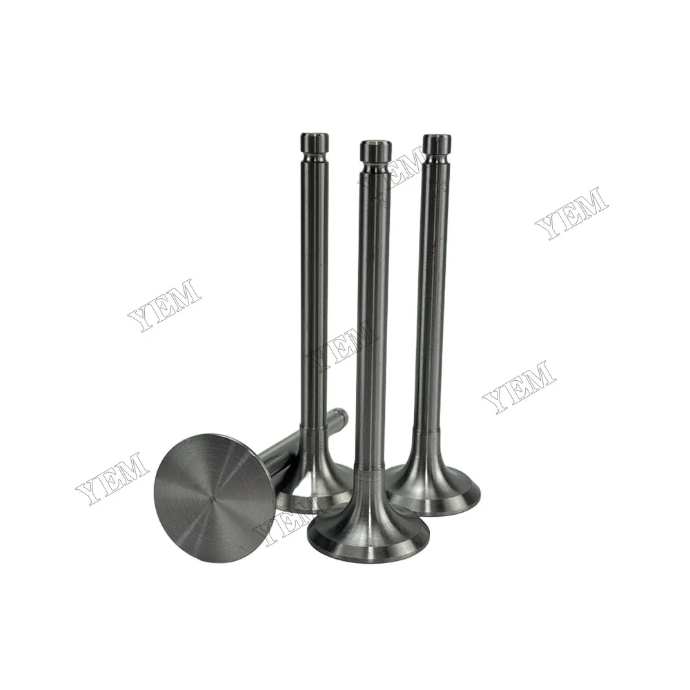 Exhaust Valve Fit for New Holland SNH4105 Engine 3