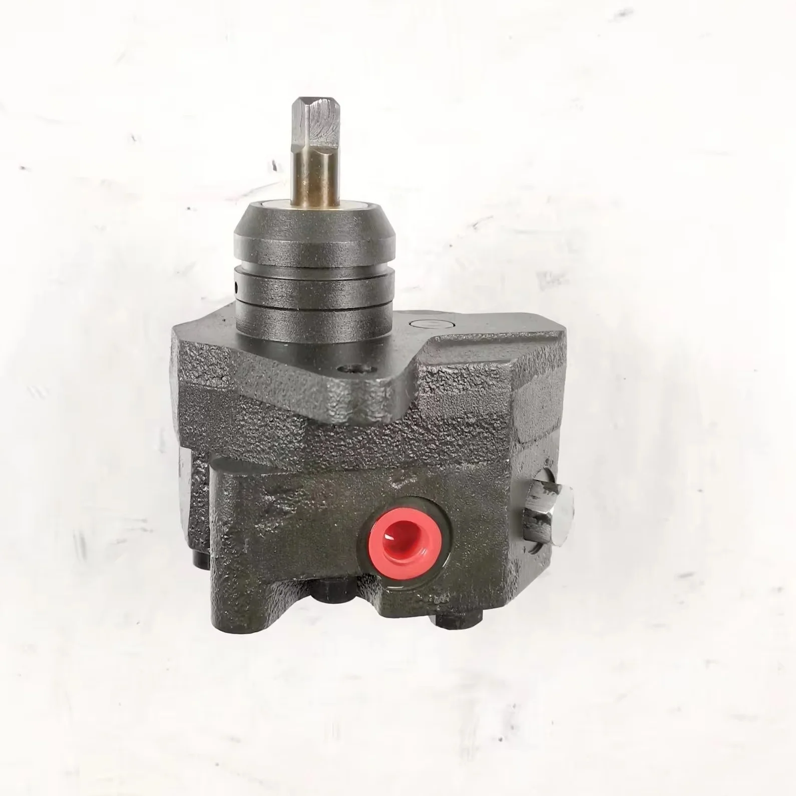 High Pressure Cast Iron Hydraulic Gear Pump with 1 Year Warranty for Industrial Utilities
