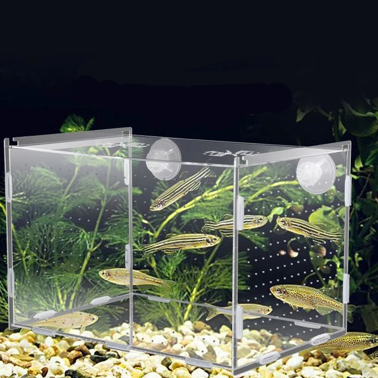 Guppies Fish Live Mipcase Acrylic Fish Breeding Box - Transparent Aquarium Divider For Betta, Shrimp & Goldfish Spawning Removable Divider Hatchery For Betta Shrimp Guppies Fish Live Mipcase Acrylic Fish Breeding Box - Transparent Aquarium Divider For Betta, Shrimp & Goldfish Spawning Removable Divider Hatchery For Betta Shrimp