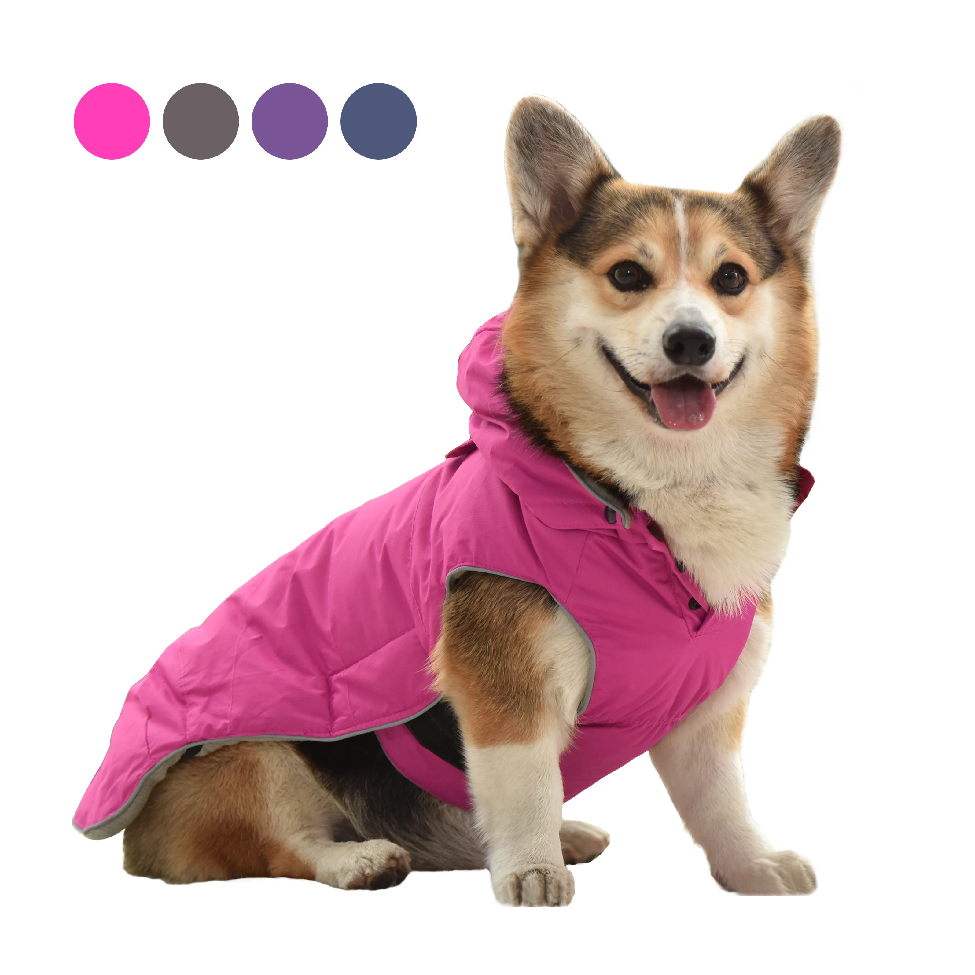 dog clothes suppliers