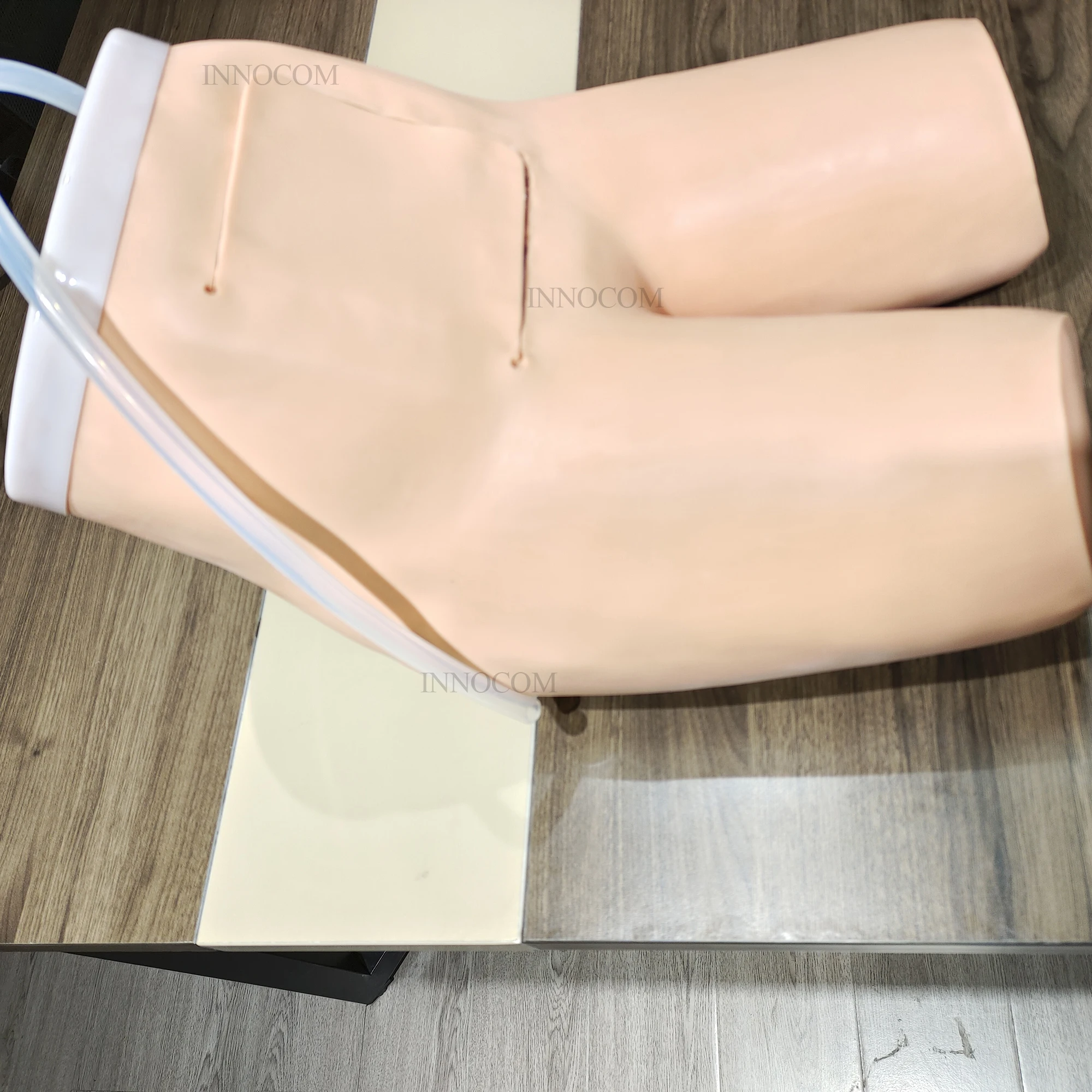 Medical Science Manikin Assisted Enema and Defecation Training Model for Caregivers