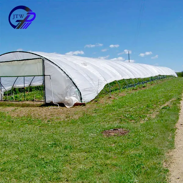 Eco-Friendly & Non-Polluting 200 Micron Anti-UV Covering Film Greenhouse Plastic of Green Color for Gardens details