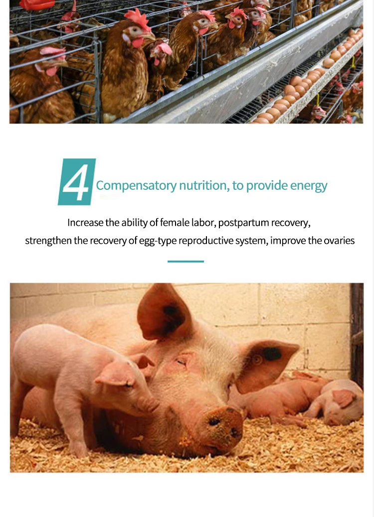 Broiler Animal Feed Additives Liquid Poultry Vitaminade For Laying Hens