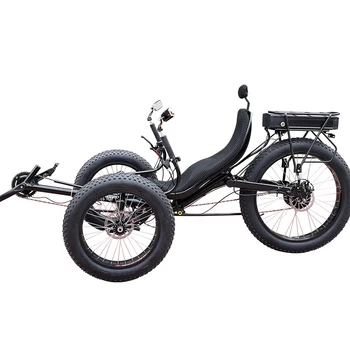 Christianiabike クリスチャニアバイク Trike トライク ３輪 Christianiabike クリスチャニアバイク Trike トライク 3輪